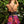 Load image into Gallery viewer, FOREST PUNK SKIRT PINK MINX - Trancentral Shop
