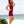 Load image into Gallery viewer, ALICE IN WONDERLAND HOODED DRESS IN MAROON - Trancentral Shop
