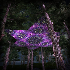 Alien Enlightenment Triangle TR02 Psychedelic UV Reactive Canopy Parts Stretchable Print on Lycra - Trancentral Shop