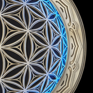 Fisheye Wall Art Sacred Geometry LED Lamp - Trancentral Shop