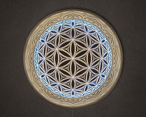 Fisheye Wall Art Sacred Geometry LED Lamp - Trancentral Shop