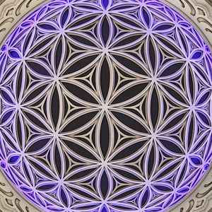 Fisheye Wall Art Sacred Geometry LED Lamp - Trancentral Shop