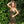 Load image into Gallery viewer, GYPSY PIXIE DRESS OLIVE GREEN - Trancentral Shop
