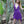 Load image into Gallery viewer, PIXIE DRESS IN PURPLE - Trancentral Shop
