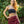 Load image into Gallery viewer, SAFFRON SKIRT MAROON - Trancentral Shop
