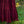 Load image into Gallery viewer, SAFFRON SKIRT MAROON - Trancentral Shop
