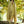 Load image into Gallery viewer, TATHAGATHA LIGHT GREEN OVERSIZED MEDITATION SHAWL - Trancentral Shop
