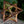 Load image into Gallery viewer, V1 Merkaba Stellated Octahedron - Trancentral Shop
