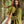 Load image into Gallery viewer, YOSEPH GREEN ARAMAIC GOWN KURTA LONG - Trancentral Shop
